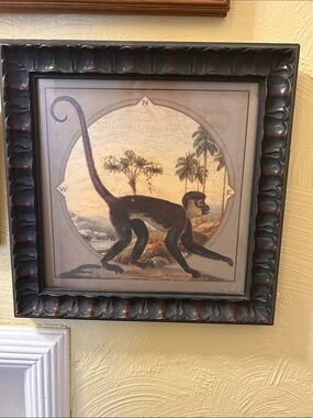 Home & Garden Party framed monkey print designed in a vtg natural history style